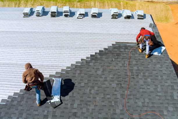 Best Metal Roofing Contractor  in Talluh, LA
