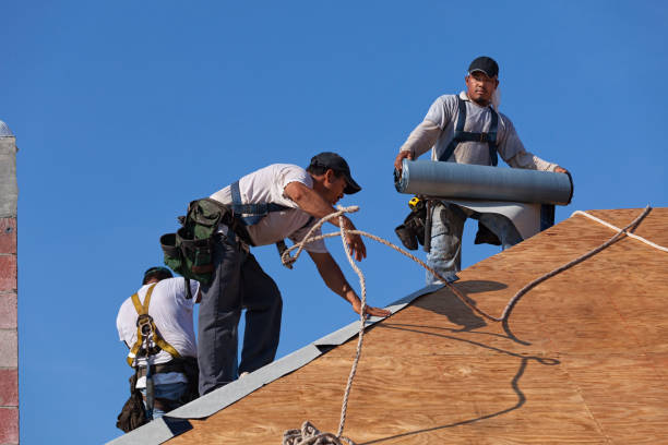Best Emergency Roof Repair  in Talluh, LA