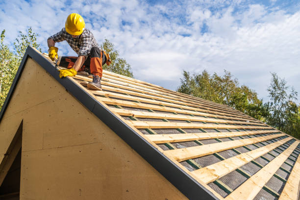 Best Gutter Installation and Roofing  in Talluh, LA