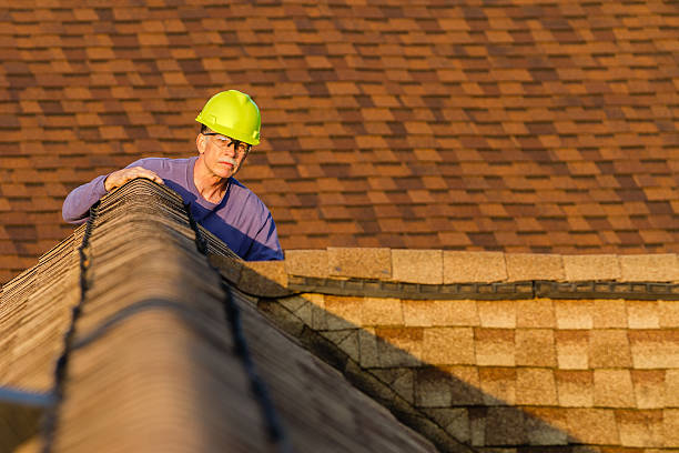 Best Roof Waterproofing Services  in Talluh, LA